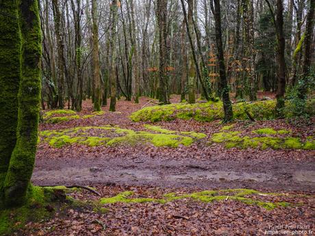 baie de #Douarnenez #Bretagne #Finistère baie de #Douarnenez #Bretagne #Finistère