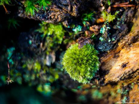 baie de #Douarnenez #Bretagne #Finistère baie de #Douarnenez #Bretagne #Finistère