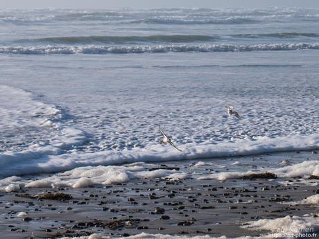 baie de #Douarnenez #Bretagne #Finistère baie de #Douarnenez #Bretagne #Finistère