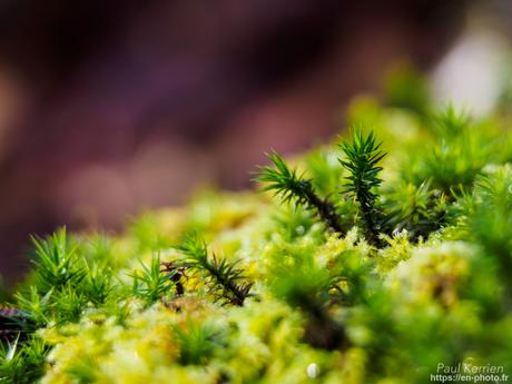 baie de #Douarnenez #Bretagne #Finistère baie de #Douarnenez #Bretagne #Finistère