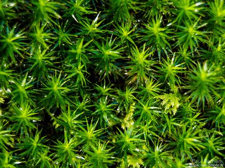 baie de #Douarnenez #Bretagne #Finistère baie de #Douarnenez #Bretagne #Finistère