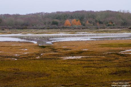 baie de #Douarnenez #Bretagne #Finistère baie de #Douarnenez #Bretagne #Finistère
