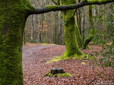 baie de #Douarnenez #Bretagne #Finistère baie de #Douarnenez #Bretagne #Finistère