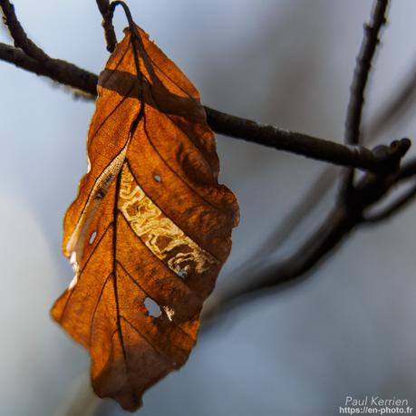 baie de #Douarnenez #Bretagne #Finistère baie de #Douarnenez #Bretagne #Finistère