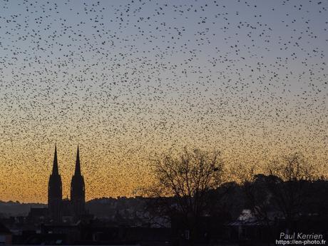 baie de #Douarnenez #Bretagne #Finistère baie de #Douarnenez #Bretagne #Finistère