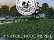 Château Jean Faure L’excellence tranquille