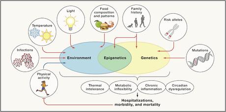 #Cell #métabolisme #obésité #diabètedetype2 Conséquences métaboliques de l’obésité et du diabète de type 2 : gènes d’équilibrage et d’environnement pour des soins personnalisés