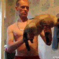 Un gouvernement par sondages