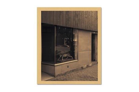 NICK MEYER – THE LOCAL NICK MEYER – THE LOCAL