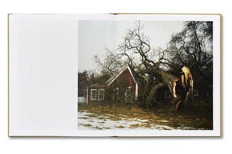 NICK MEYER – THE LOCAL