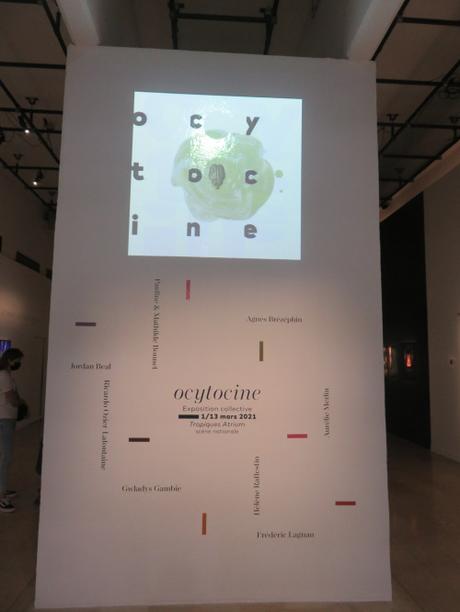 Ocytocine et art contemporain