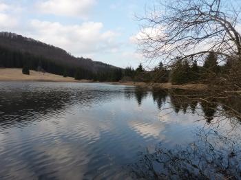 photo,carnet photo,balade,promenade,nature,forêt,lac,blog littéraire de christian cottet-emard,campagne,christian cottet-emard