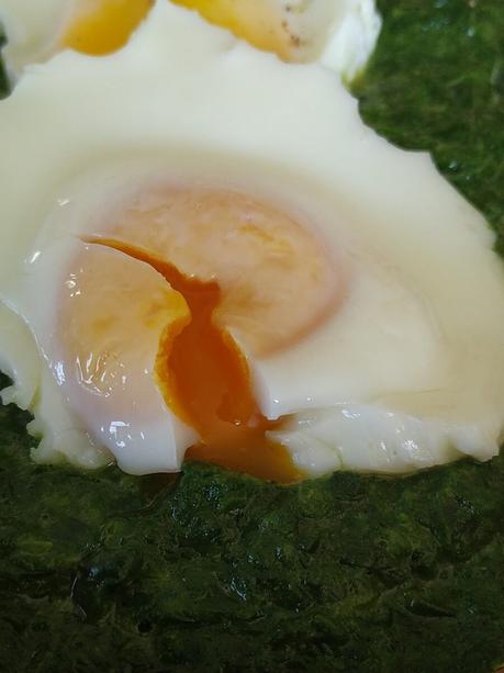 Oeuf poché parfait au Thermomix