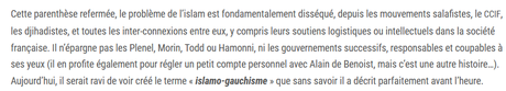 Sur Nice-Provence Info, site suprémaciste blanc, on appelle à tuer les « islamo-gauchistes ». Merci Madame Vidal.