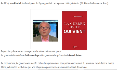 Sur Nice-Provence Info, site suprémaciste blanc, on appelle à tuer les « islamo-gauchistes ». Merci Madame Vidal.
