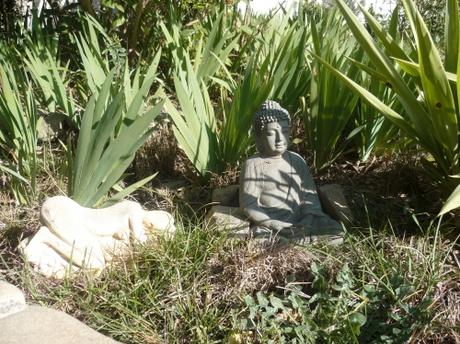 jardin,jardinage,loisirs,herbe,fleurs,tondre,palmier,camélia,muscaris