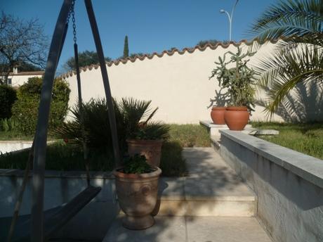 jardin,jardinage,loisirs,herbe,fleurs,tondre,palmier,camélia,muscaris