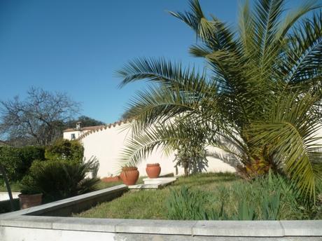 jardin,jardinage,loisirs,herbe,fleurs,tondre,palmier,camélia,muscaris