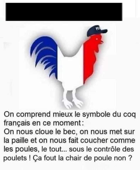 La nuit des ingrats La nuit des ingrats