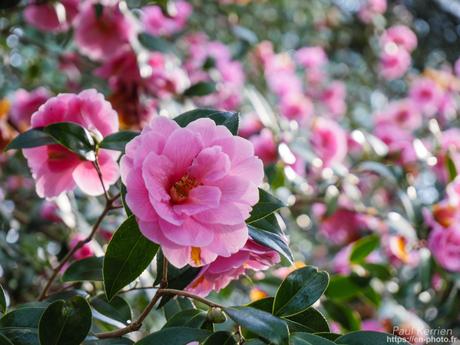 marée haute tourmentée #IleTudy #SainteMarine #Bretagne #Finistère