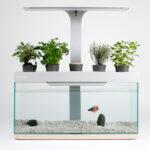 Crowdfunding : Aquarium Potager, l’écosystème d’intérieur !