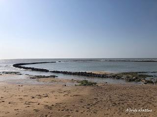 Le Phare de Chassiron et le Nord de l'île d'Oléron