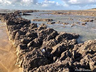 Le Phare de Chassiron et le Nord de l'île d'Oléron Le Phare de Chassiron et le Nord de l'île d'Oléron
