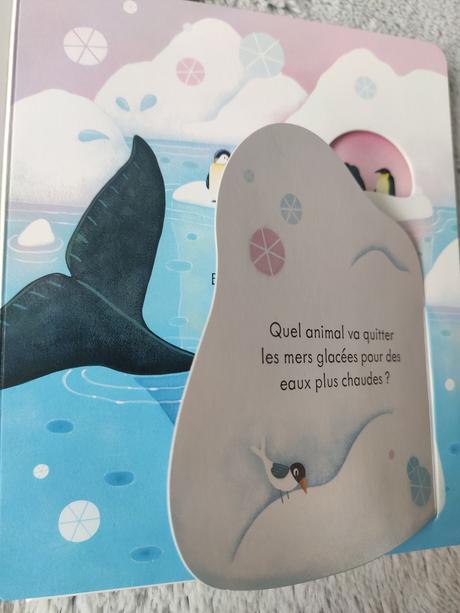Coucou! La neige. Usborne -2021 (Dès 3 ans) Coucou! La neige. Usborne -2021 (Dès 3 ans)