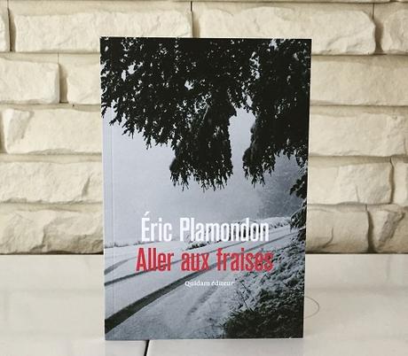 Aller aux fraises – Eric Plamondon
