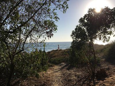 J'ai perdu le nord, sans gagner le sud J'ai perdu le nord, sans gagner le sud