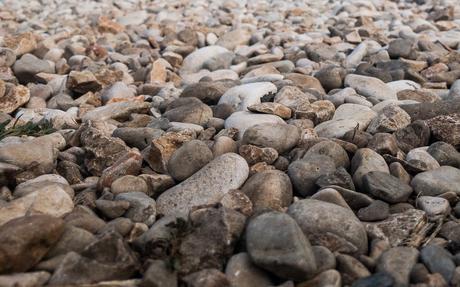 Moqueurs, les Kielburger