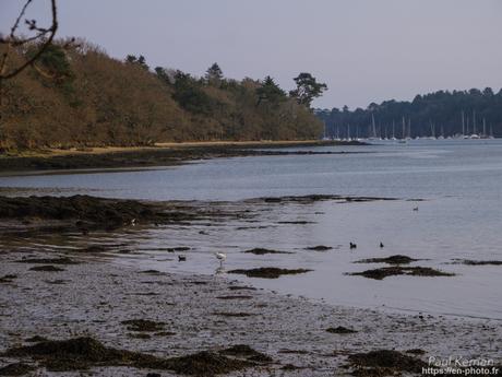 fin de nuit sur le #menhir de Penglaouic #Loctudy #Bretagne #Finistère