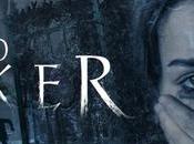 vidéo primé langue galloise atteint million téléchargements