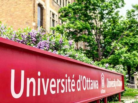 Rats du Canada Rats du Canada