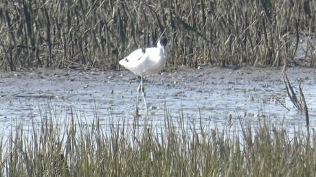 Premier jour du printemps