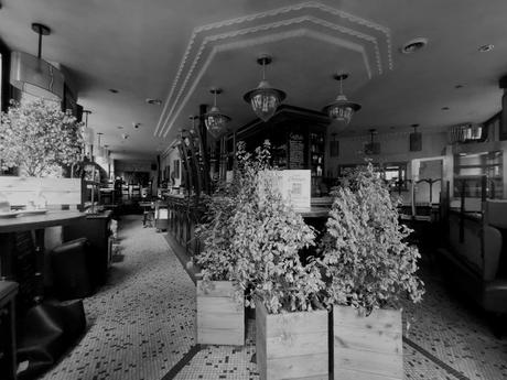 nosconf2221.jpg, mar. 2021 nosconf2221.jpg