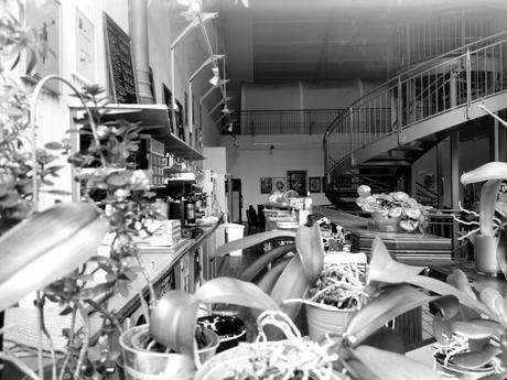 nosconf2421.jpg, mar. 2021 nosconf2421.jpg