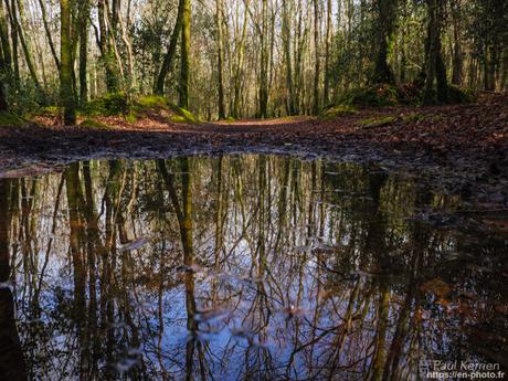 ils sont partis en piste sur la dune #Bretagne #Finistère ils sont partis en piste sur la dune #Bretagne #Finistère