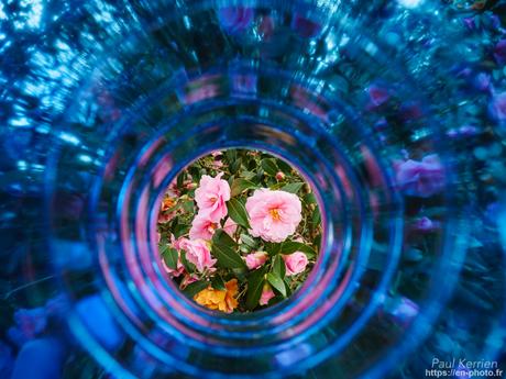 ils sont partis en piste sur la dune #Bretagne #Finistère ils sont partis en piste sur la dune #Bretagne #Finistère