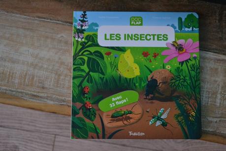 Les Insectes DOC FLAP chez TOURBILLON