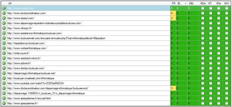 Comment analyser la concurrence d’un nom domaine avec Niche Market Finder