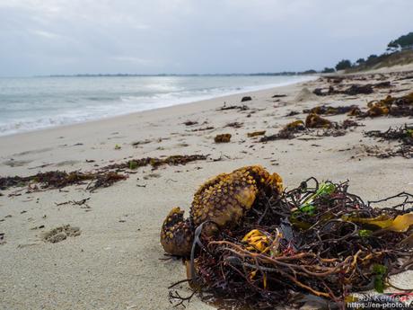 mise à jour de la page #sable #Finistère #Bretagne