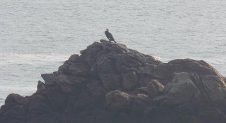 on mélange tout on mélange tout