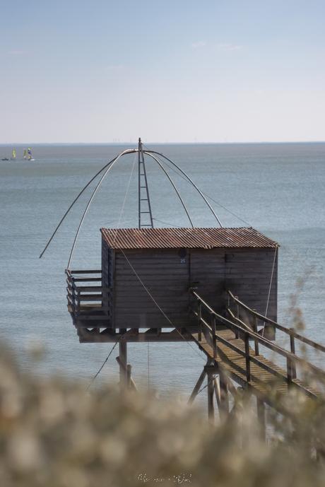 Les pêcheries de Pornic