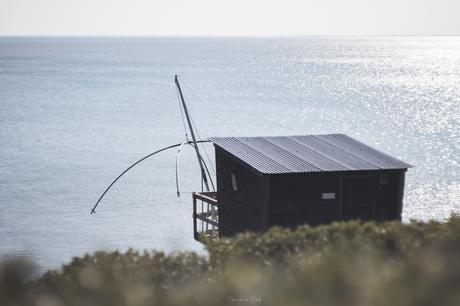 Les pêcheries de Pornic