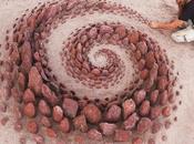 Divers Belle découverte .....