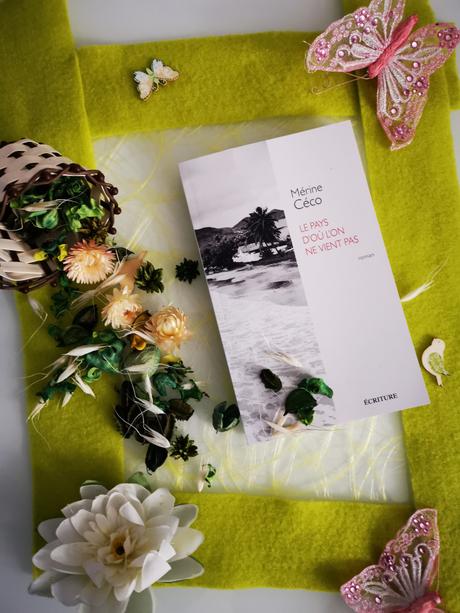 Le Pays d’où l’on ne vient pas de Mérine Céco