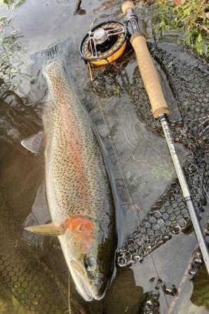 Session pêche à la mouche