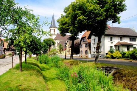 Autour de Mulhouse - Hirtzbach, Sundgau © French Moments