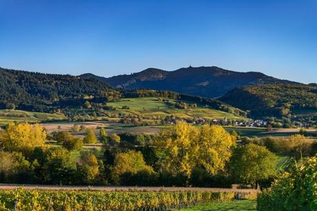 Autour de Mulhouse - Le Blauen depuis le vignoble de Britzingen © TdL - licence [CC BY-SA 4.0] from Wikimedia Commons